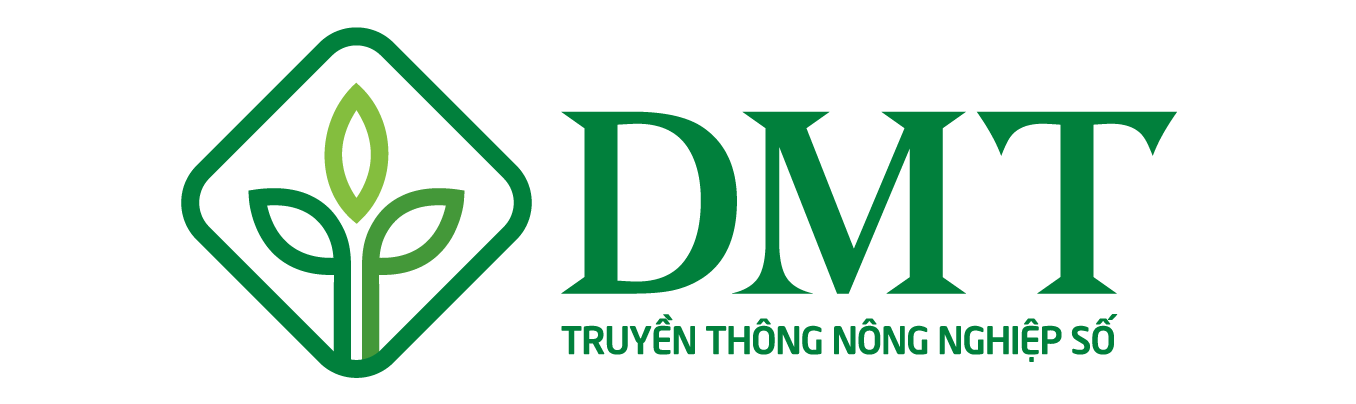 DMT